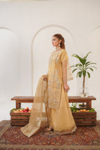 Areej ( Fancy Stitched Embrodiery Pcs )