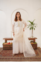Rabeeca Fancy  ( Stitched 3 Pcs )